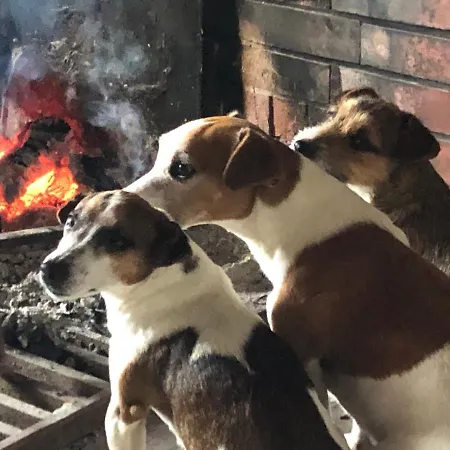 Ancien Aux Moines Pierrefitte St Lo Отель типа 