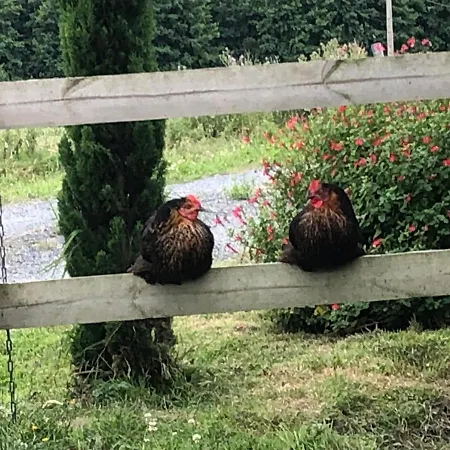 Ancien Aux Moines Pierrefitte St Lo Отель типа 