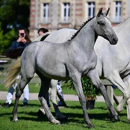 Ancien Aux Moines Pierrefitte St Lo Saint-Lô
