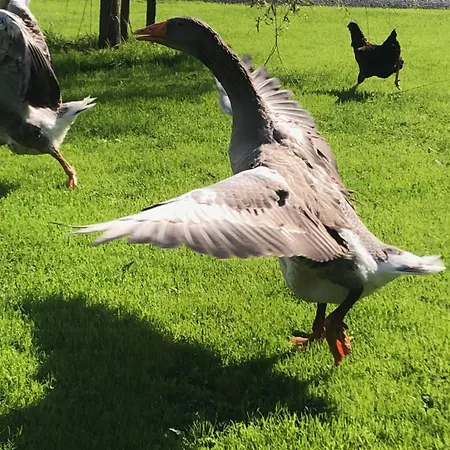 Ancien Aux Moines Pierrefitte St Lo 4* Сен-Ло