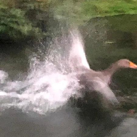 Ancien Aux Moines Pierrefitte St Lo Saint-Lô