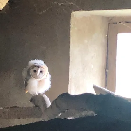 Ancien Aux Moines Pierrefitte St Lo Отель типа 