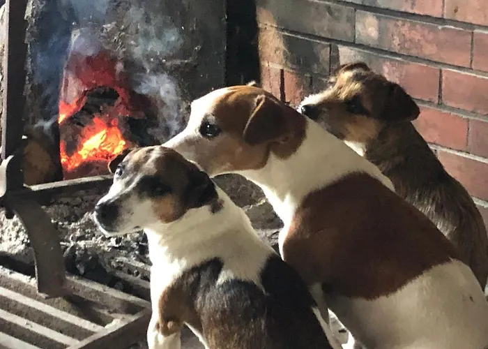 Ancien Aux Moines Pierrefitte St Lo Bed & Breakfast Saint-Lo