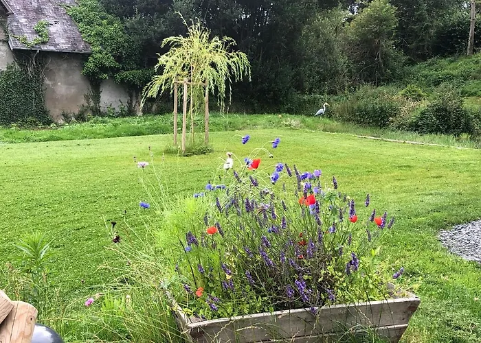 Bed & Breakfast Ancien Aux Moines Pierrefitte St Lo