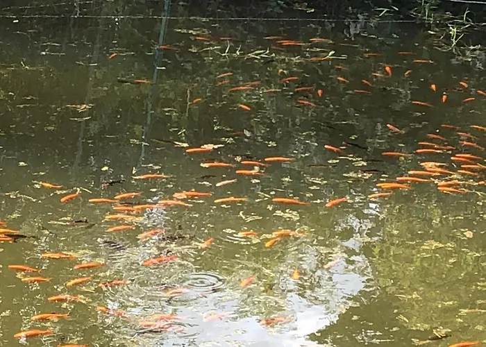 Ancien Aux Moines Pierrefitte St Lo 4* Saint-Lô