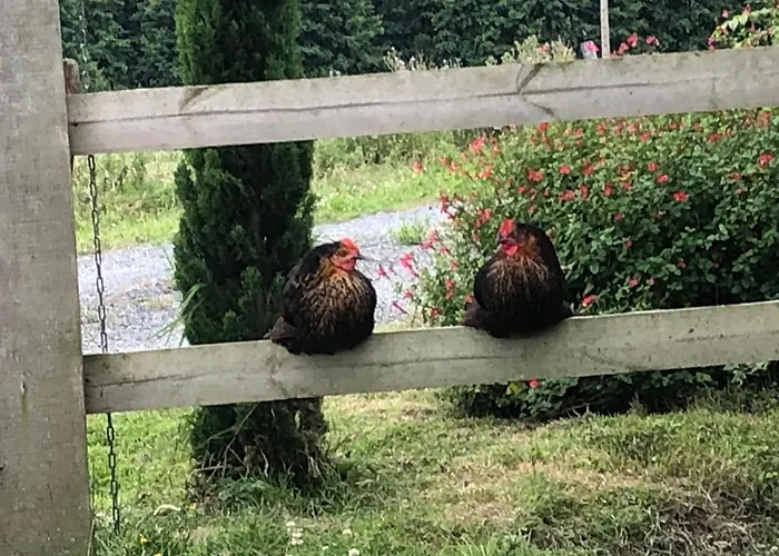 Ancien Aux Moines Pierrefitte St Lo Frühstückspension 4*