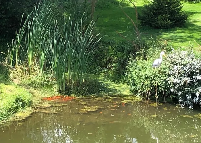 Bed & Breakfast Ancien Aux Moines Pierrefitte St Lo