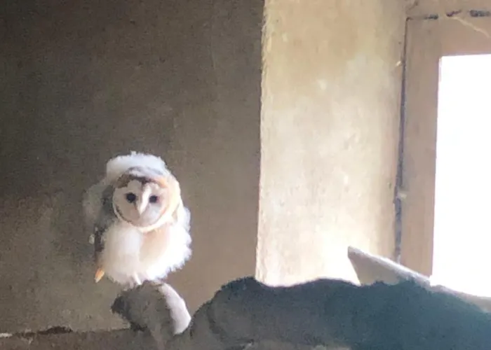 Ancien Aux Moines Pierrefitte St Lo Bed & Breakfast 4*