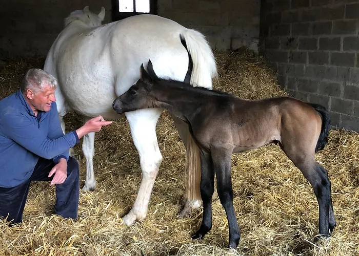 Bed & Breakfast Ancien Aux Moines Pierrefitte St Lo Saint-Lo